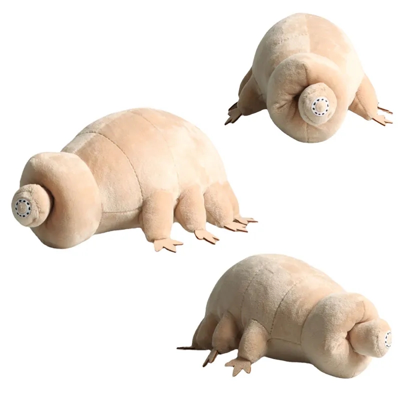 Kids Education Movies - 25Cm Water Beer Tardigrade Knuffel Zachte